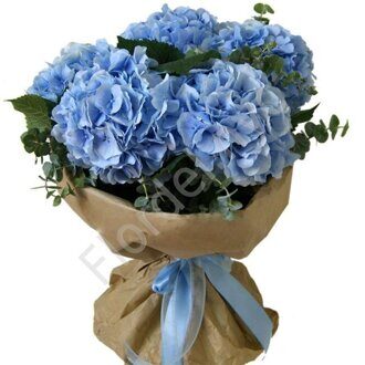 Blue hydrangea bouquet