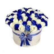 Blue and white roses in large box