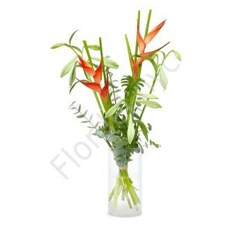 Heliconia and lilies