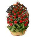 Large funeral basket of red roses