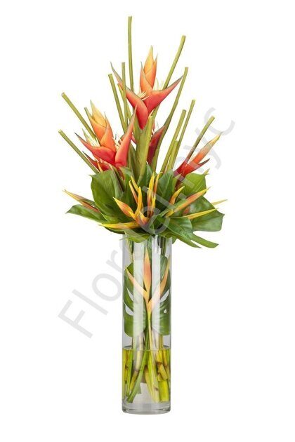 Heliconia bunch