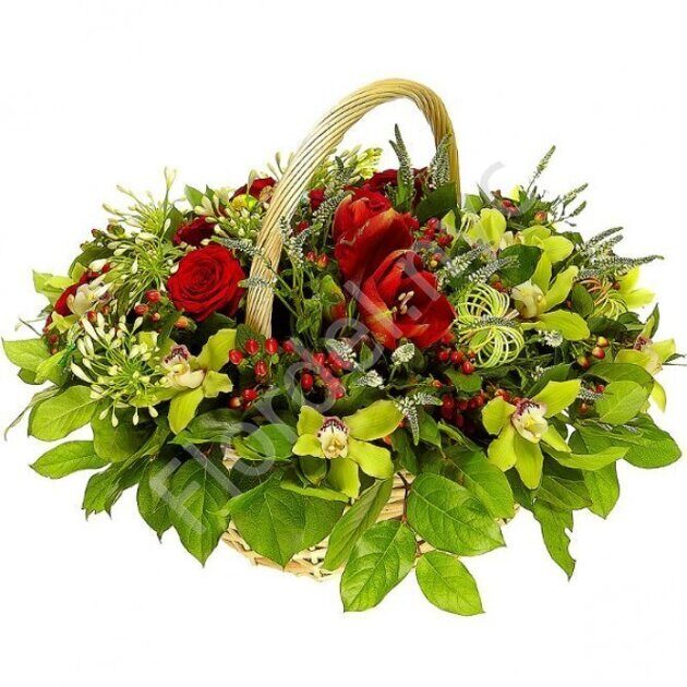 Basket of orchids and amarilyses