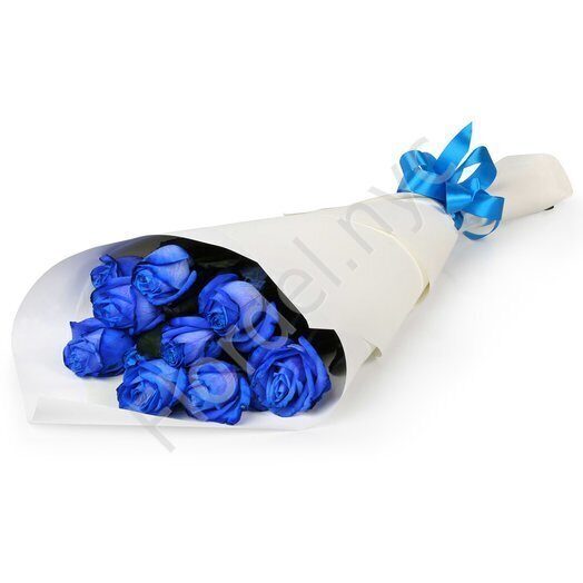 Blue roses wrapped in paper