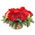 Gerbera Christmas centerpiece