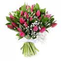 Bouquet of tulips with gypsophila