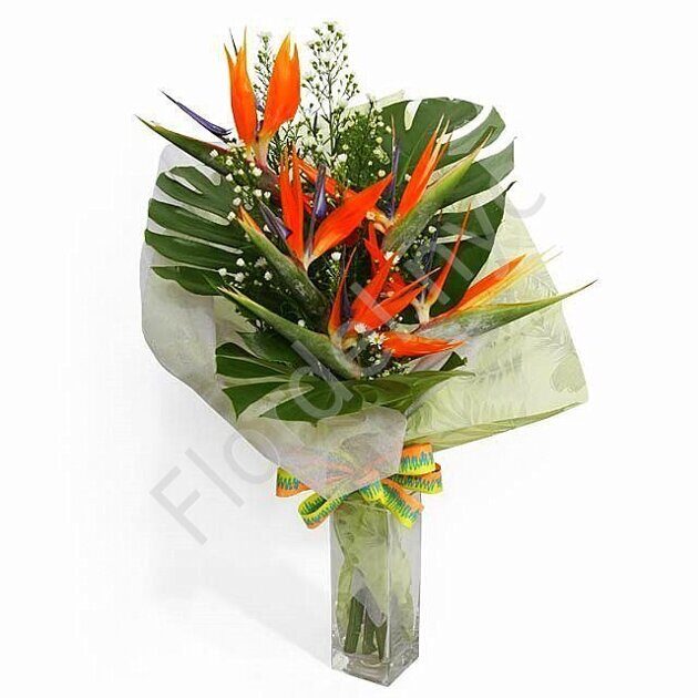 Bird of paradise Hawaiian bouquet