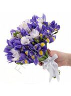 Irises and freesia