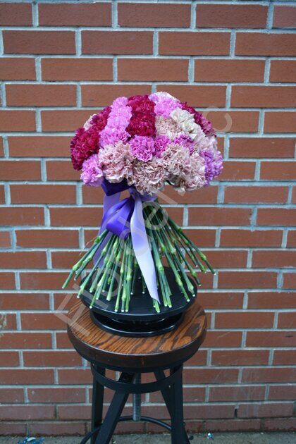 Pink-purple carnations