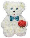 Sympathy teddy bear