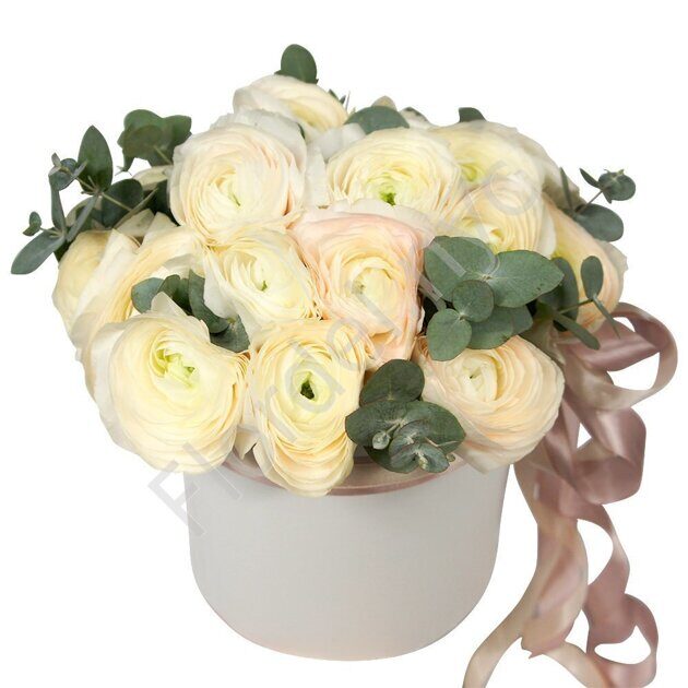 White ranunculus box