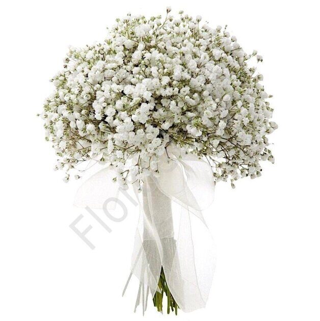 Babys breath simple bouquet