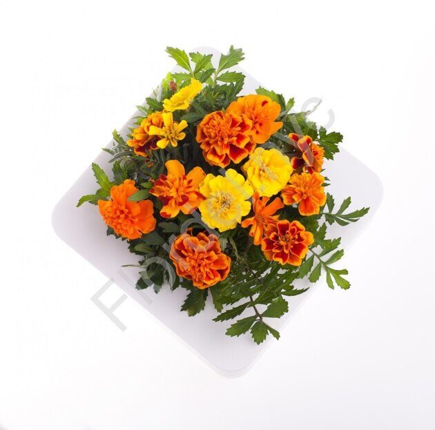 Marigold fall bouquet