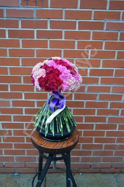 Pink-purple carnations