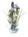 Irises centerpiece