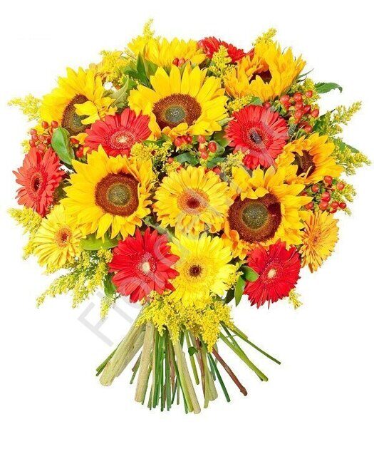 Sunflowers with gerberas