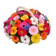 Gerberas in basket