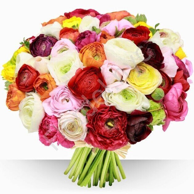 Assorted ranunculus bouquet