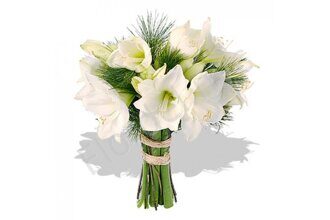 Amaryllis winter bouquet