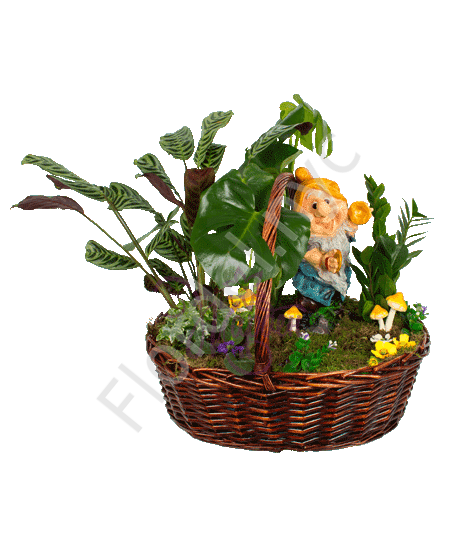 Plants basket