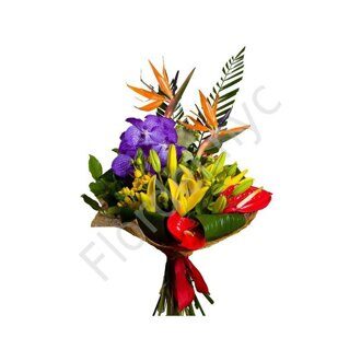 Bird of paradise bright bouquet