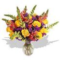 Snapdragon bright bouquet