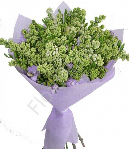 White lilac and freesia