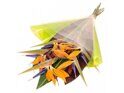 Bird of paradise simple bouquet