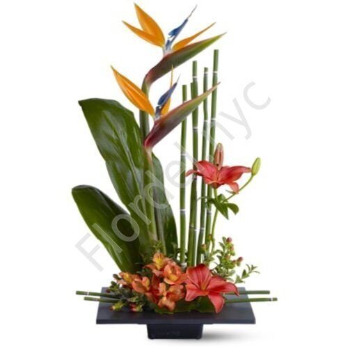 Bird of paradise ikebana