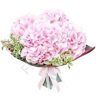 Pink hydrangea bouquet