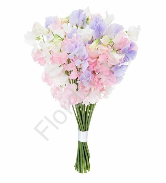 Sweet peas pastel bouquet