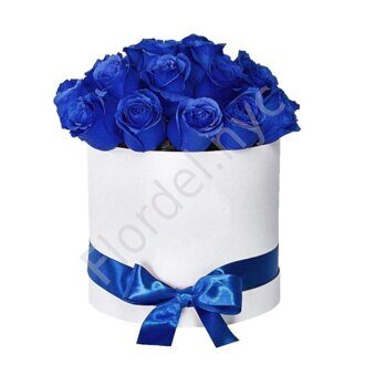 2 dozen blue roses in round box