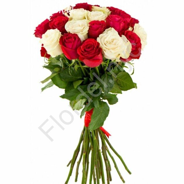 Red and white long stem roses