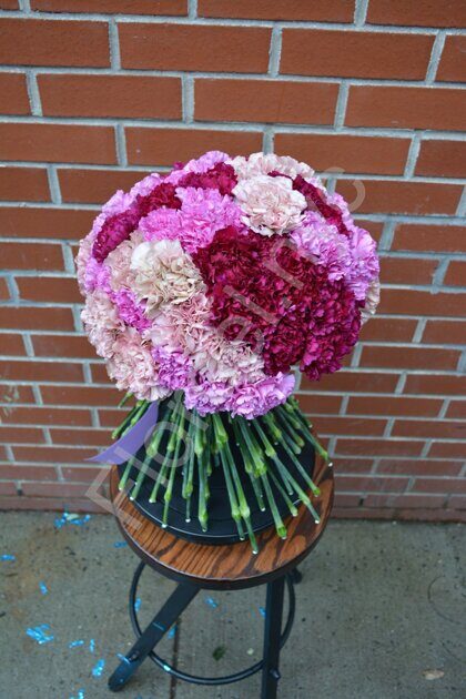 Pink-purple carnations