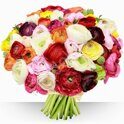 Assorted ranunculus bouquet