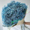 Blue baby breath bouquet