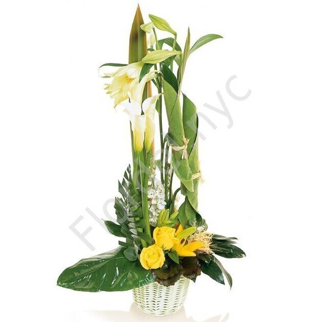 Creative arrangement with callas