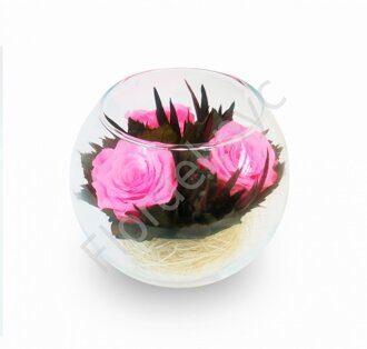 Pink preserved rose's vase