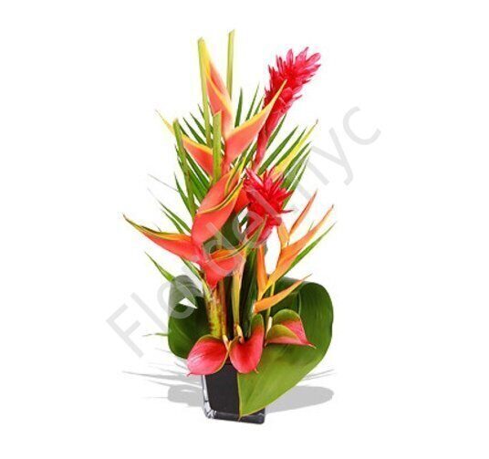 Hawaiian heliconia arrangement