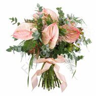 Pink anthuriums with greenery