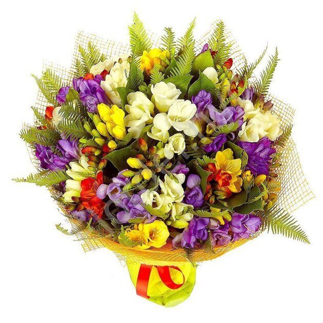 Bright freesia bouqet