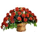 Red carnation's sympathy basket