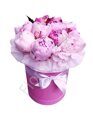 Dozen peonies in round box