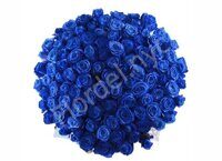 Grand bouquet of blue roses