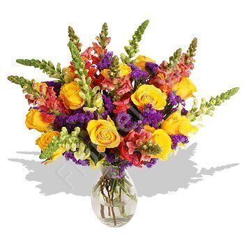 Snapdragon bright bouquet