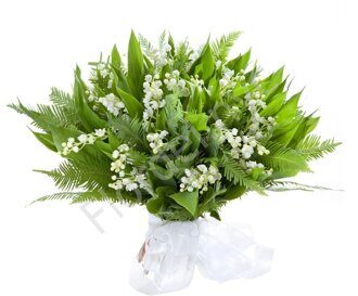 Lily of the valley and greenery