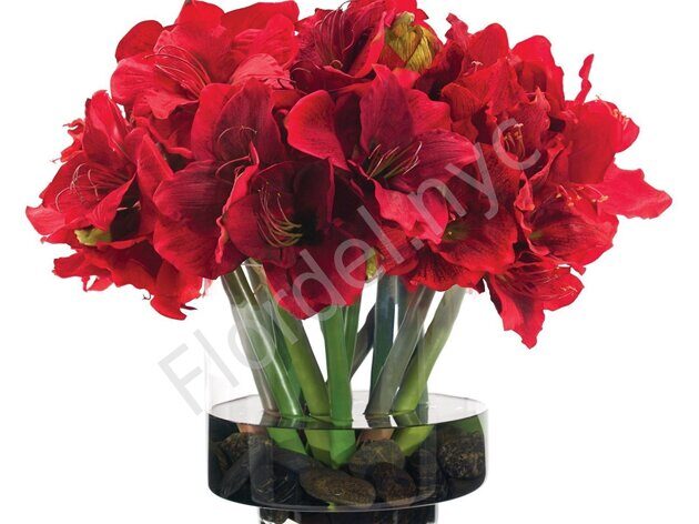 Red amarillys centrepiece