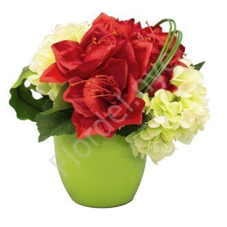 Amaryllis and hydrangea