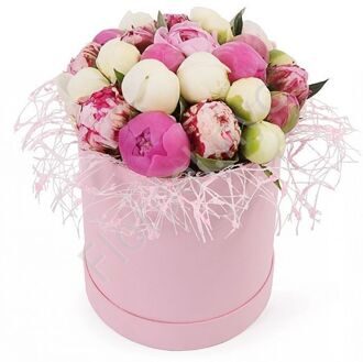 Pink peonies